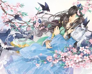 猫咪海外永久官网入口